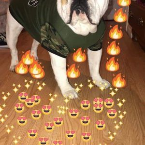 Meet your Posher, Erwin